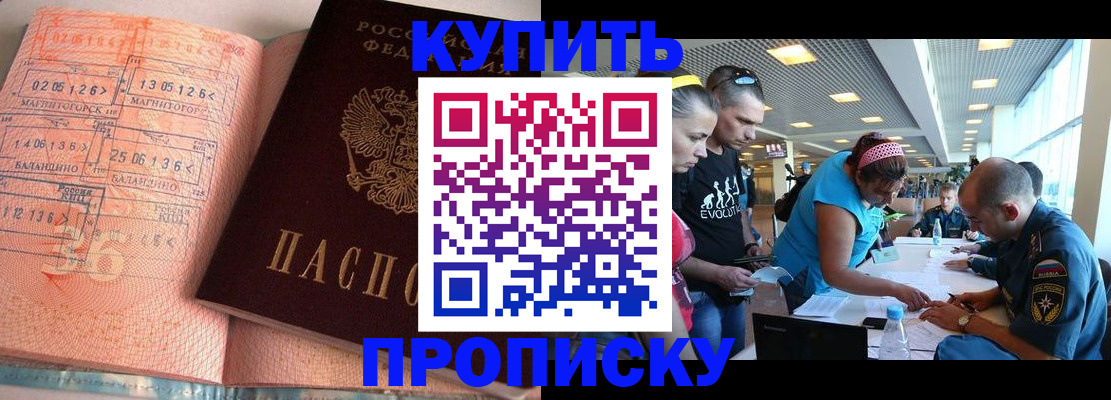 временная регистрация поиск в Щёлково